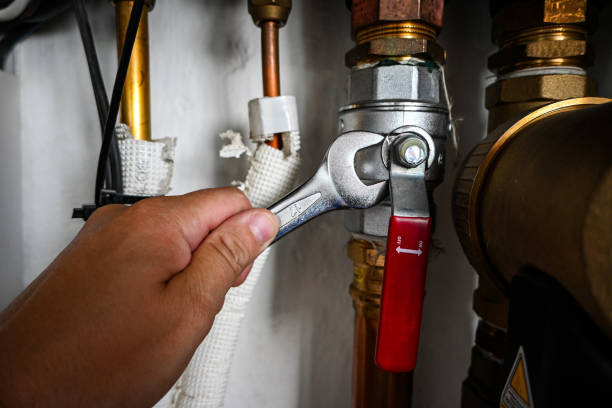 Best Shower Repair Services  in Babbitt, MN